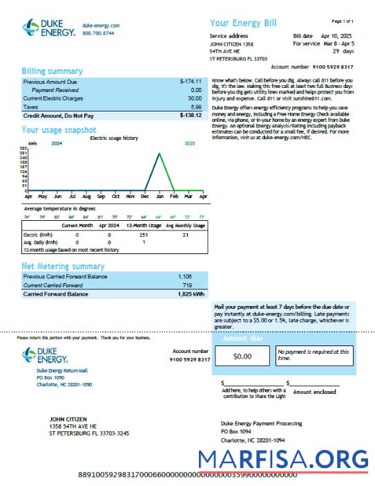 Printable USA Duke Energy utility bill template in Word and PDF formats, version 4
